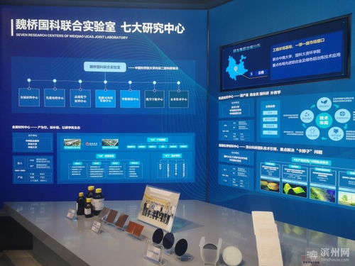 濱州理工大學籌建穩步推進，魏橋國科科技園迎來新進展